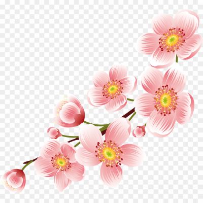 Blossom-Flower-Cherry-PNG-Pngsource-J2V7KPOP.png