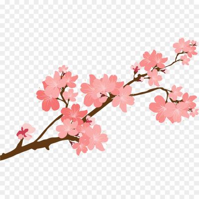Blossom-Flower-Vector-Clipart-PNG-Pngsource-QJOVRWPB.png
