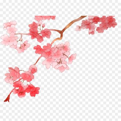 Blossom-PNG-File.png