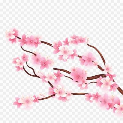 Blossom-PNG-HD-Quality.png