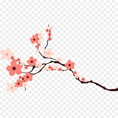 Blossom-PNG-Image.png