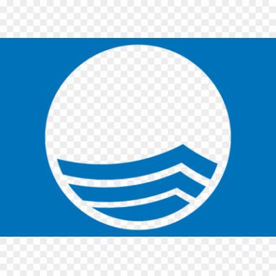 Blue-Flag-Logo-Pngsource-HHRVOSBJ.png