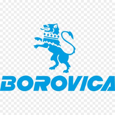 Borowitz-Logo-Pngsource-9QZ9CT6M.png