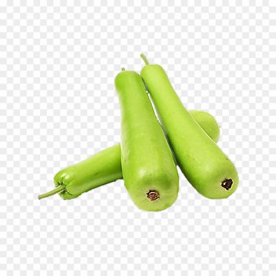 Bottle Gourd, Vegetable, Gourd Family, Long Shape, Green Color, Nutritious, Low In Calories, High In Water Content, Fiber-rich, Versatile, Cooking, Indian Cuisine, Soups, Stews, Curries, Bottle Gourd Juice, Weight Loss, Hydration, Vitamins, Minerals, Antioxidants.
