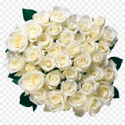 Bouquet-Of-White-Roses-PNG-Clipart-Background-YHGAHAF1.png