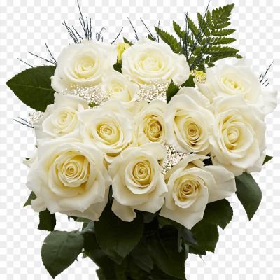 Bouquet-Of-White-Roses-Transparent-Free-PNG.png