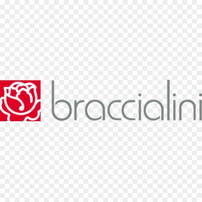 Braccialini-Logo-Pngsource-P0F3GATD.png PNG Images Icons and Vector Files - pngsource