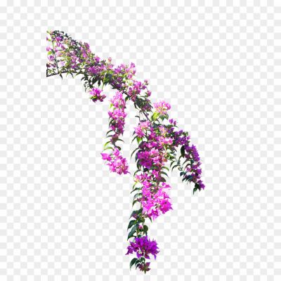 Branch-And-Flowers-Transparent-Background-Pngsource-TPJQ097T.png