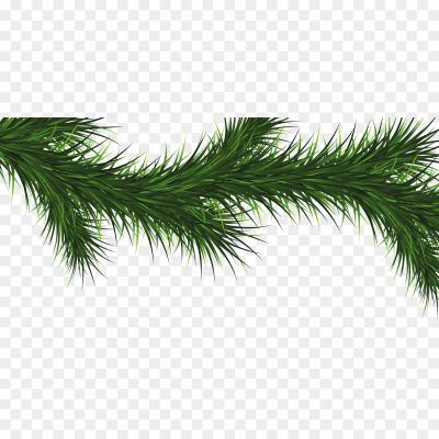 Branch-Fir-Tree-PNG-Images-HD.png