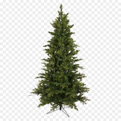 Cedar Tree, Evergreen Tree, Coniferous Tree, Tall Tree, Majestic, Cedar Wood, Aromatic, Cedar Branches, Cedar Leaves, Cedar Forest, Nature, Landscape, Symbol Of Strength, Symbol Of Resilience, Lumber, Cedar Tree Silhouette