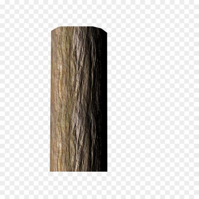 Branch-Tree-Trunk-PNG-Image-Pngsource-EKSK1O9A.png