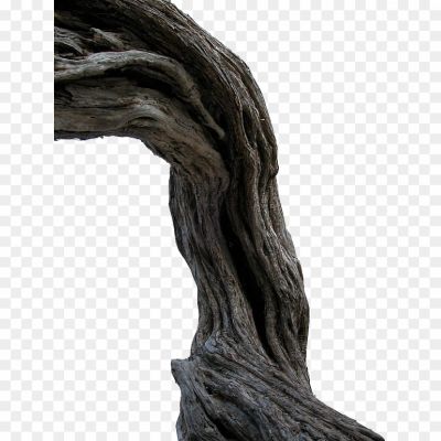 Branch-Tree-Trunk-PNG-Pic-Pngsource-A15GW2HD.png