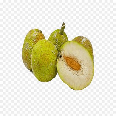 Breadfruit, Fruit, Tree, Tropical, Edible, Starchy, Green, Round, Large, Seeds, Cooked, Roasted, Breadfruit Tree, Breadfruit Fruit, Breadfruit Leaves, Breadfruit Chips, Breadfruit Curry, Breadfruit Flour, Breadfruit Salad, Breadfruit Recipes