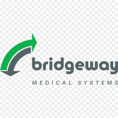 Bridgeway-Medical-Systems-logo-Pngsource-QXBYXW5T.png PNG Images Icons and Vector Files - pngsource