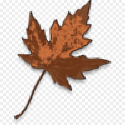 Brown-Maple-Leaf-Background-PNG-Image-JBIDIV5G.png