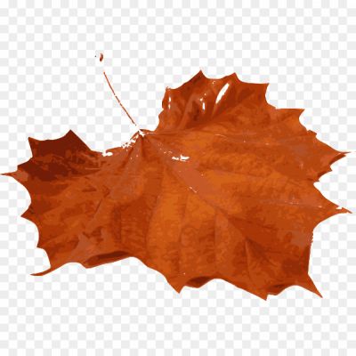 Brown-Maple-Leaf-Transparent-Background-19M4A45R.png