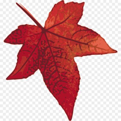 Brown-Maple-Leaf-Transparent-File-32SDDCPK.png