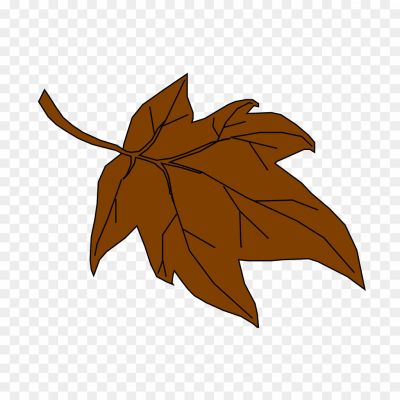 Brown-Maple-Leaf-Transparent-Image-6AIMABKT.png PNG Images Icons and Vector Files - pngsource