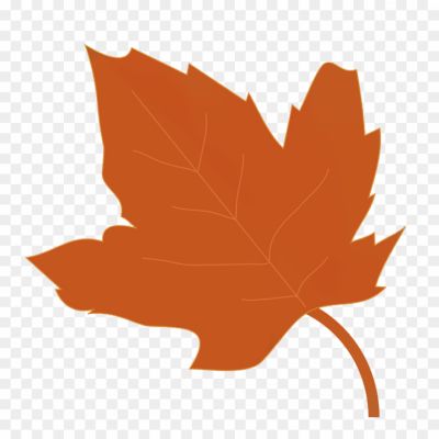 Brown-Maple-Leaf-Transparent-Images-WPLF0T9Z.png