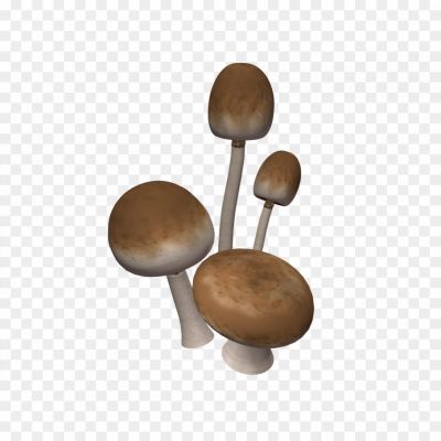 Brown-Mushrooms-PNG-Clipart-Background-QG34X3UJ.png