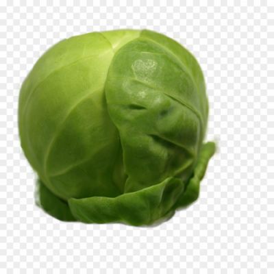 Brussel-sprout-PNG-File-HB3BW5F9.png