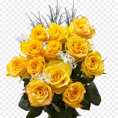 Bunch-Of-Yellow-Roses-Download-Free-PNG-Pngsource-9W5ZN1MJ.png