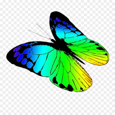 Butterfly-Clip-Art-No-Background-Pngsource-WV1HD8T0.png