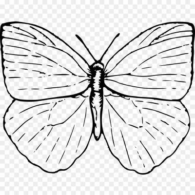 Butterfly-Outline-Transparent-Image-Pngsource-XQ4MYQAS.png