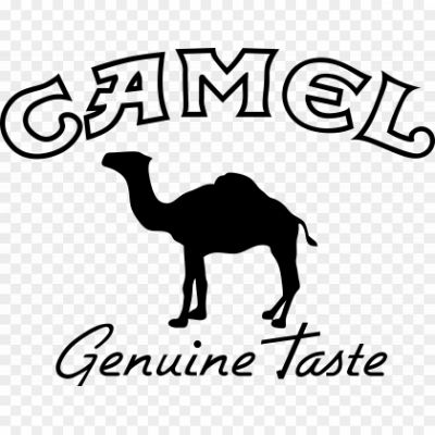 Camel-logo-white-Pngsource-GHD1YVCR.png