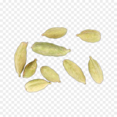 Black Cardamom, Aromatic Spice, Cooking Ingredient, Indian Cuisine, Bold Flavor, Smoky Aroma, Culinary Spice, Herbal Remedy, Digestive Aid, Exotic Spice