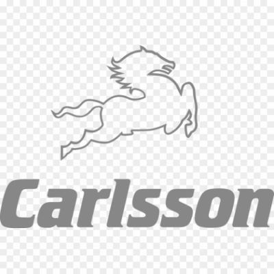 Carlsson-Fahrzeugtechnik-Logo-Pngsource-PT7M26E9.png