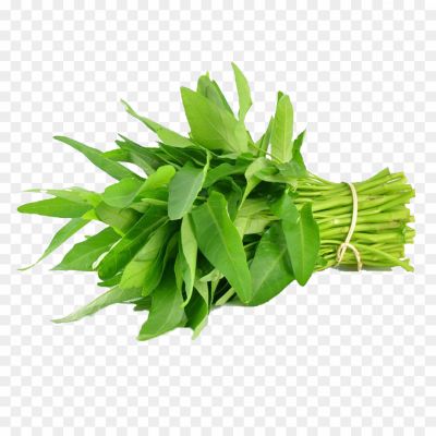 Ceylon-Spinach-PNG-HD.png