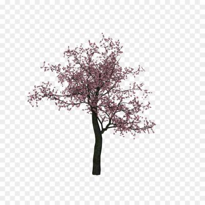 Cherry-Tree-PNG-Image.png