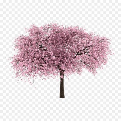 Cherry-Tree.png