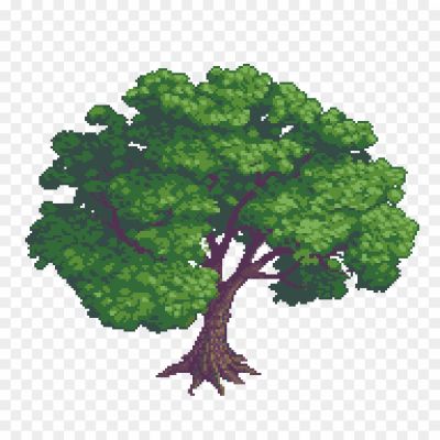 Chestnut-Tree-PNG-HD-Quality.png