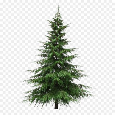 Christmas-Pine-Tree-PNG-Photos.png