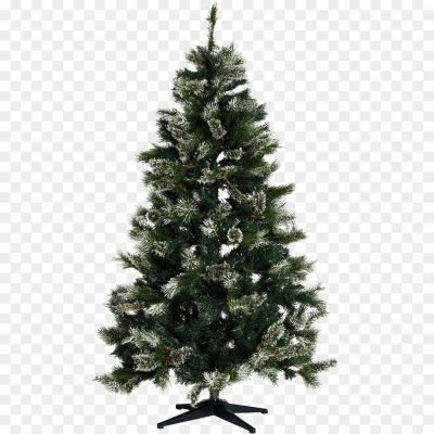 Christmas-Pine-Tree-PNG-Pic.png