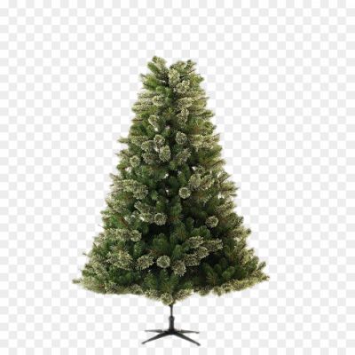 Christmas-Pine-Tree-Transparent-Images-PNG.png