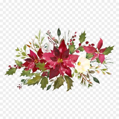 Christmas-Poinsettia-PNG-Photos-Pngsource-5P7N77AC.png