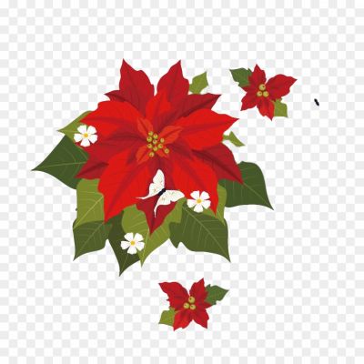 Christmas-Poinsettia-PNG-Transparent-Pngsource-NXRWU7ZV.png