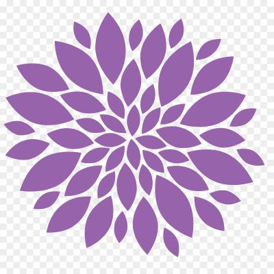 Chrysanthemum-PNG-Image-9MXRDVW5.png