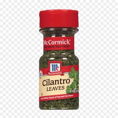 Cilantro-PNG-Isolated-File-FTODFNSS.png