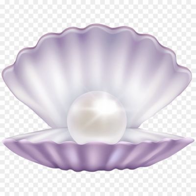 Clams Transparent Background 0WXNIR - Pngsource