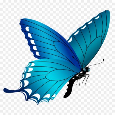 Clip-Art-Butterfly-Transparent-File-Pngsource-1R2M7XKG.png