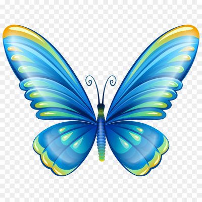 Clip-Art-Butterfly-Transparent-Free-PNG-Pngsource-Q1WJ085C.png