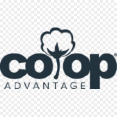 Co-Advantage-Logo-136x72-Pngsource-129HO1L4.png