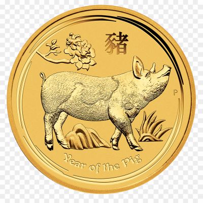 Coin-Pig-Transparent-Free-PNG-Pngsource-K3K6EQ41.png