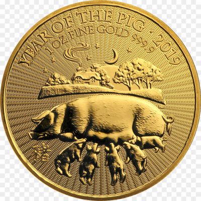 Coin-Pig-Transparent-Images-Pngsource-6273DH0K.png