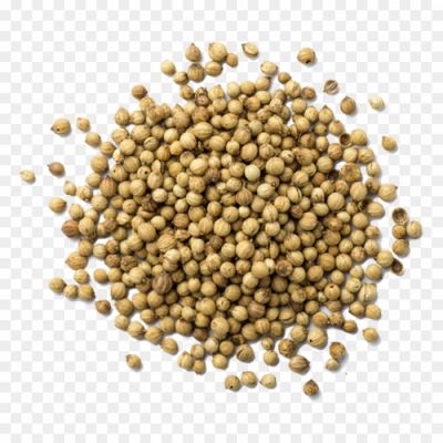 Coriander-PNG-Isolated-Photo-BHIS8G3R.png