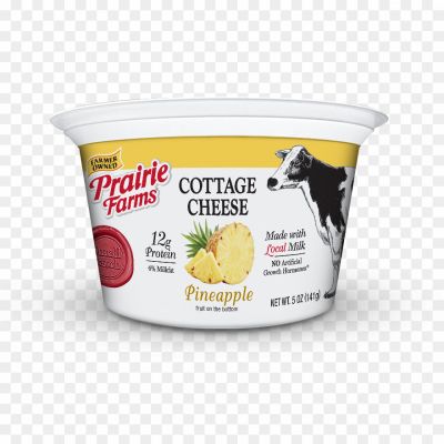 Cottage-Cheese-PNG-HD-HVW8C2KR.png